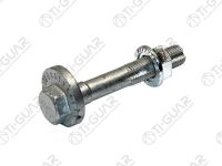 Комплект эксцентрика TG-33306770968 * TIGUAR Комплект эксцентрика TG-33306770968 * TIGUAR